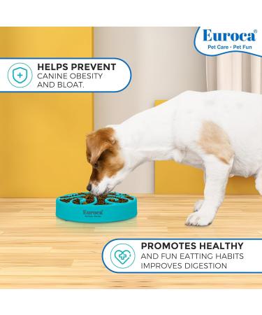Euroca Feeder Slow Dog Bowl Slow Feeders Bowls Dish for Medium & Large Dogs Maze Interactive Puzzle Bowls Prevents Canine Obesity & Bloat Anti-Choking Dog Bowl (Blue Large) Large Blue - Buy Online on GoSupps.com