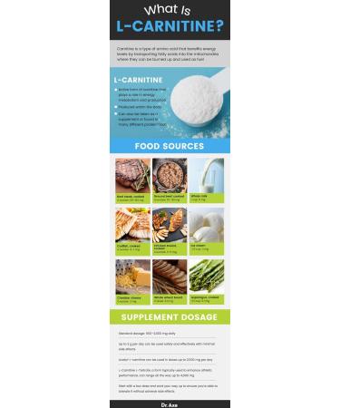 Pro Line L-Carnitine Capsules | Dual Carnitine Matrix with L-Carnitine Tartrate | Stimulant Free Metabolism Support Endurance Recovery | 1470mg Total Carnitine (180 Capsules) - Buy Online on GoSupps.com