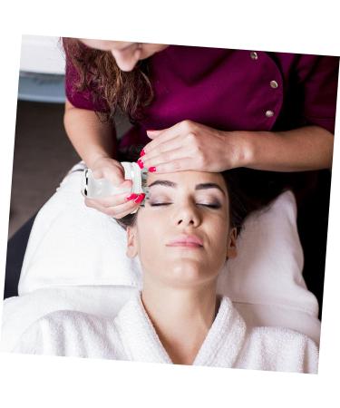 Buy Healeved 2pcs Automatic Dog Massager Tool - White | International Shipping - Buy Online on GoSupps.com