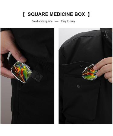 Pill Box Bird Parrot Painting Print - Decorative 2 Compartment Medicine Organizer | Portable Metal Pill Case for Pocket or Purse - Buy Online on GoSupps.com