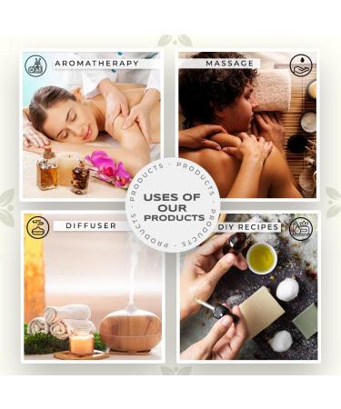 Carno Calm Eucalyptus Oil for Diffuser | 100% Pure and Natural Eucalyptus Essential Oil | for Aromatherapy Bath Humidifier Hair | 30ml Eucalyptus 30 ml (Pack of 1) - Buy Online on GoSupps.com
