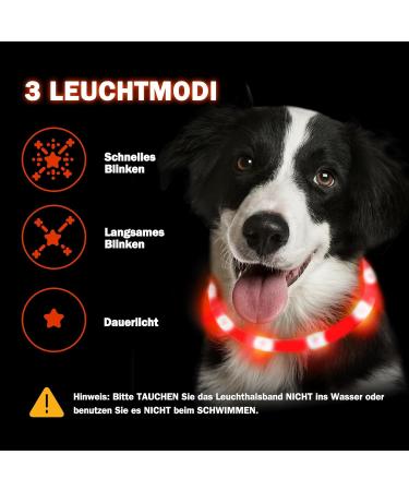Buy Nepfaivy LED Dog Collar - USB Rechargeable Waterproof Adjustable Length 3 Lighting Modes for Safety - Red Silicone - Buy Online on GoSupps.com