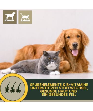 Emma Cats Vitamins - High-Dose Vitamin B Complex Paste for Cats | 15ml Multi-Vitamin with Vitamins A D C | Immune System Support for Kittens & Seniors - Buy Online on GoSupps.com