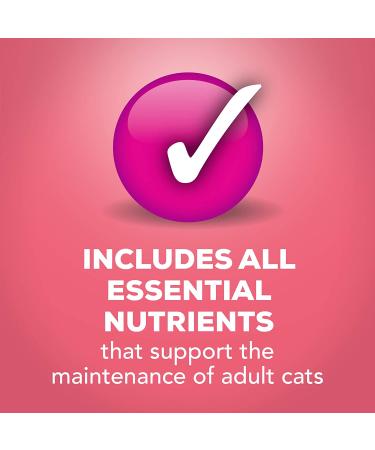 Purina Friskies Extra Gravy Salmon Pate Wet Cat Food 5.5 oz. Cans (Pack of 24) - Buy Online on GoSupps.com