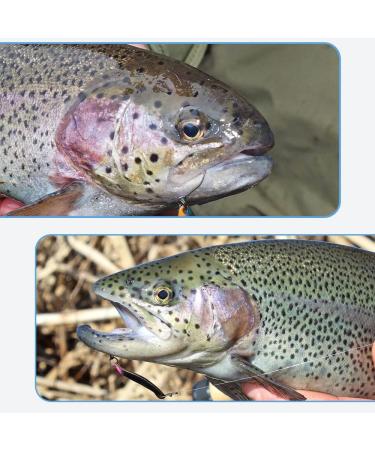 Trout Spoon Set (2.5g) - Spinner Fishing Baits with Single Hook & Storage Box | International Shipping - Buy Online on GoSupps.com