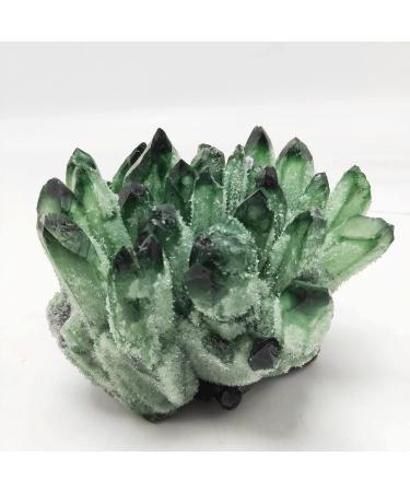 Gift Natural Crystal Reiki Green Quartz Crystal Cluster Natural Gemstones for Home Decor ZJGIDTEM (Size : 300-350g) - Buy Online on GoSupps.com