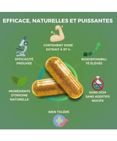 Glycemia Boost 120 capsules Berberine White Mulberry Cinnamon Black Pepper Chromium Blood Glucose Management Cholesterol Vegan Optimum Efficiency. - Buy Online on GoSupps.com