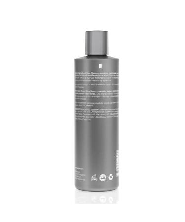 MOEHAIR Vibrant Silver Shampoo | Color Enhancing & Brassiness Neutralizer | Paraben & Sulfate Free | 12 Fl. Oz - Buy Online on GoSupps.com