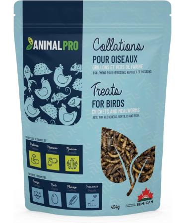 AnimalPro Crickets and Mealworms 454 g - 1 LB - Buy Online on GoSupps.com