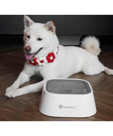 Lumoleaf Dog & Cat Water Bowl - Anti-Spill Slow Feed Gray Double Floating Plate - Buy Online on GoSupps.com