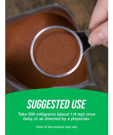 BulkSupplements.com Pumpkin Seed Extract Powder - Pumpkin Seed Supplement Herbal Supplement - Vegan & Gluten Free 500mg per Serving 250g (8.8 oz) (Pack of 1) 8.82 Ounce (Pack of 1) - Buy Online on GoSupps.com