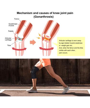 Thx4COPPER Hinged Knee Brace - Adjustable Open Patella Support for ACL Tears & Arthritis - Compression Strap for Pain Relief - Size S (1 Pack) - Buy Online on GoSupps.com