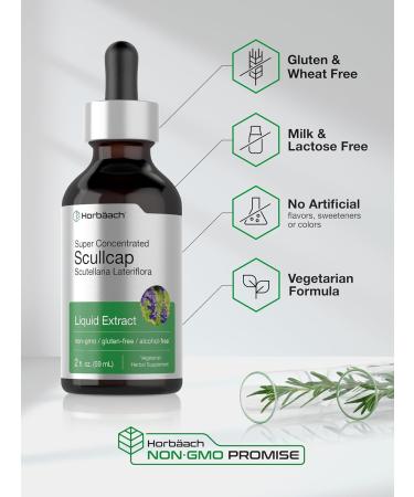 Horb ach Scullcap Herb Liquid Extract | 2 fl oz Tincture | Super Concentrated | Alcohol Free Vegetarian Non-GMO Gluten Free Skullcap Supplement - Buy Online on GoSupps.com