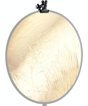 Neewer 2 PCS Heavy Duty Metal Clamp Holder with 5/8 Light Stand Attachment - Ideal for Photo Studio and Reflector - Buy Online on GoSupps.com