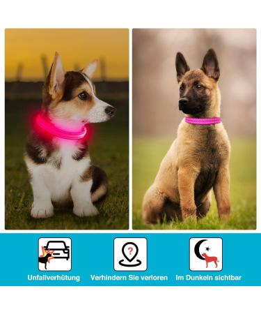 KOSKILL LED Dog Collar - Waterproof & Bright Adjustable USB Lighted Collar for Small Dogs (Pink Size S) - Safe & Stylish Pet Accessory - Buy Online on GoSupps.com