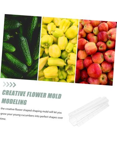 SUPVOX Fruit Shaping Accessories 4 Pcs Fruit and Vegetable Shaping Modeling Nursery Plant Tools - Buy Online on GoSupps.com