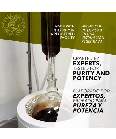 Herb Emporium Chaparral Gobernadora (Larrea tridentata) Herbal Extract 1 fl oz. - Buy Online on GoSupps.com