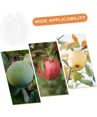 SUPVOX Vegetable Growing Shaped Growth Fruit Transparent Melon Growth Clear Shaping Shaper Maitreya Vegetable - Buy Online on GoSupps.com