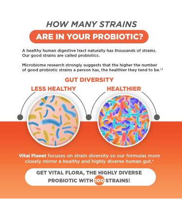 Vital Planet - Vital Flora Advanced Biome Probiotic 100 Billion CFU 100 Diverse Strains 10 Organic Prebiotics Immune Support Colon and Digestive Health Probiotics for Women and Men 30 Capsules Unflavored 30 Count (Pack  - Buy Online on GoSupps.com