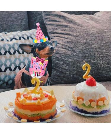 Birthday Sparty Bandana Hats Set for Girls & Dogs | 1st Birthday Party Decor with Paw Print Balloons & Happy Birthday Banner - Buy Online on GoSupps.com