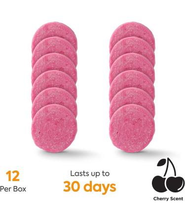 Buy Brighton 71074 Non-Para Deodorant Block - Berry Scent (12/Box) | International Shipping Available - Buy Online on GoSupps.com