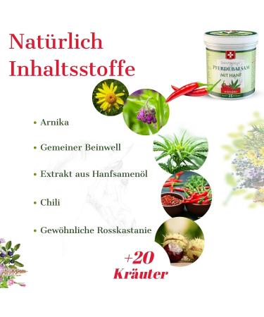 Horse Balm with Hemp - Warming Muscle & Joint Gel - 25 Natural Extracts - Ideal for Athletes - 500ml - Natural Care for Everyday Use - Buy Online on GoSupps.com