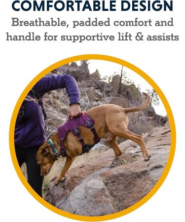 RUFFWEAR Web Master Dog Harness | Padded Anti-Escape Design | 2 Lead Attachments | Size Medium (69-81 cm) | Red Sumac - Buy Online on GoSupps.com