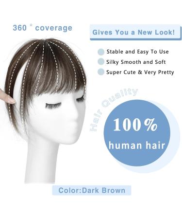 SARO-UP Clip in Fringe Clip in Bangs 100% Real Human Hair Clip in Fringe Human Hair Extensions with Temples Hairpieces for Thinning Hair 360 Clip on Bangs for Daily Wear(Medium Auburn Brown) - Buy Online on GoSupps.com