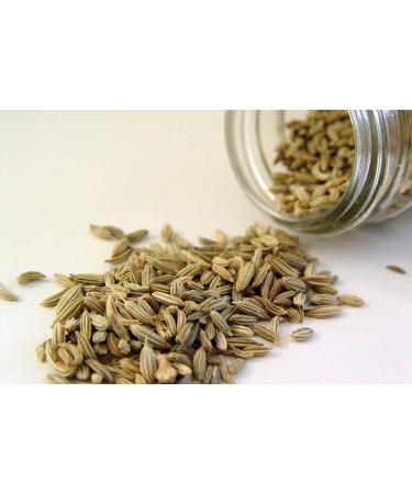 Spices Village 8 oz Fennel Seeds - Whole Spices for Cooking - Fresh Dried Fennel Seed for Tea - High Dietary Medicinal Herb - Kosher, Vegan, Gluten Free, Non GMO - Resealable Bulk Bag - Buy Online on GoSupps.com
