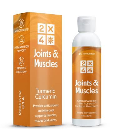 2X4 Turmeric Curcumin Supplement 250 mg  High Absorption Liposomal Liquid Vitamin for Joint and Muscle Support  Non-GMO  30 Servings  6 fl oz