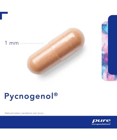 Pycnogenol 100mg: Premium Maritime Pine Bark Extract - 30 Vegetarian Capsules - Buy Online on GoSupps.com
