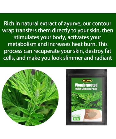120pcs Slimming Patch - Natural Herbal Waist Shaper Wormwood Patch for Abdomen - Body Slimming Solution | International Shipping - Buy Online on GoSupps.com