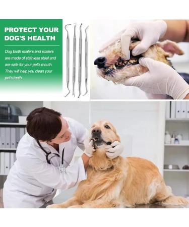 Dog Dental Tooth Scaler and Scraper Double Headed Dog Dental Care Pick Tools Teeth Cleaning Kit Pet Tartar Plaque Remover Set 4 Pcs - Buy Online on GoSupps.com