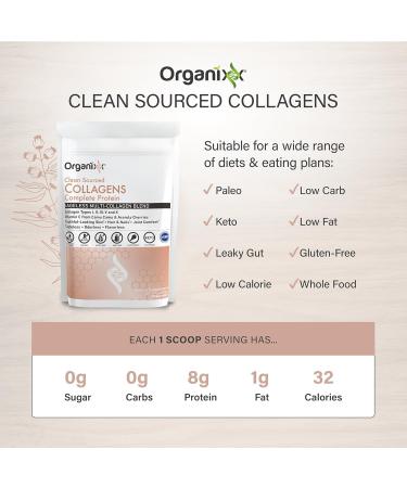 Organixx Magnesium 7 Chelated Complex (60 Caps) & Collagen Peptides Powder (20 Servings) Complete Protein with Vitamin C & Zinc High Absorption Formulas for Joint Skin & Muscle Support Gluten Free - Buy Online on GoSupps.com