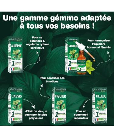 Santarome Bio - Organic blackcurrant - Bud macerate - Organic blackcurrant bud - Fresh bud - Gemmotherapy - Food supplement immunity antioxidant - Bottle of 30 ml - France - Buy Online on GoSupps.com