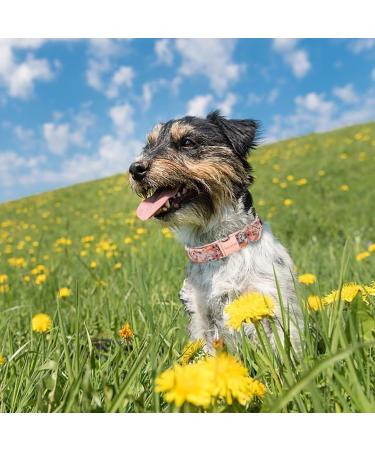 Unique Style Paws Rose Dog Collar - Stylish & Durable for Small to XL Dogs - Perfect Gift for Pet Lovers - Buy Online on GoSupps.com