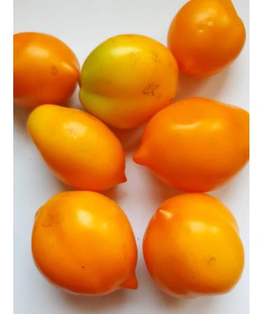 100 SEMI POMODORI-10 VARIETA'-Collezione 3-Sun Chocolat-Bonsai-PERINO Giallo-Lemon ICE-GARGAMEL-DARRETINO Ivory-Blue Berries-DATTERINO DATTORED-ZEBRINO-CILIEGINO Nano - Buy Online on GoSupps.com