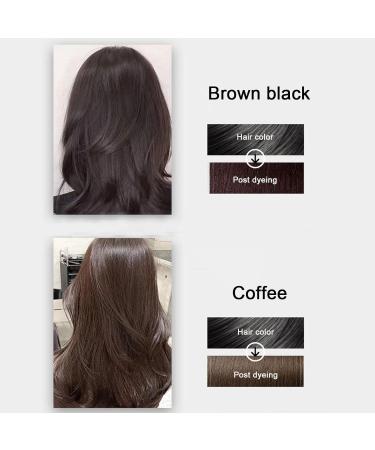 JORPKRAL Plant Bubble Hair Dye Shampoo 2023 Plant Hair Dye Shampoo Instant Natural Hair Dye Shampoo for Women and Man (2PCS Coffee) - Buy Online on GoSupps.com