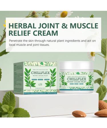 Zgxhga CHILLFLEX Menthol Soothing Cream Cooling Soothing Ointment for Joint Activities Muscle Relief Head Lumbar Neck Hands & Feet 3.5oz - Buy Online on GoSupps.com