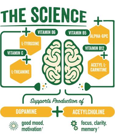 BrainJuice Brain Support Shot Gluten Free Supplement Shots for Energy & Focus Healthy Drinks with Alpha GPC Vitamin B & Organic Green Tea Extract Caffeine Peach Mango 2.5 fl oz 12 Pack Original Peach Mango - Buy Online on GoSupps.com