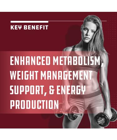 Natures Craft Garcinia Cambogia Extract: Fast-Acting Weight Loss Pills for Women & Men with Green Coffee Bean, Raspberry Ketones, Antioxidant Support, Detox Cleanse - Boost Metabolism & Energy - Buy Online on GoSupps.com