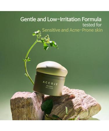 ACCOJE Reviving Gel Cream Hydrating and Soothing Moisturizer for Sensitive Skin Barrier Repair and Redness Relief with Jeju Botanical Extracts Korean Skincare 1.69 fl. oz - Buy Online on GoSupps.com