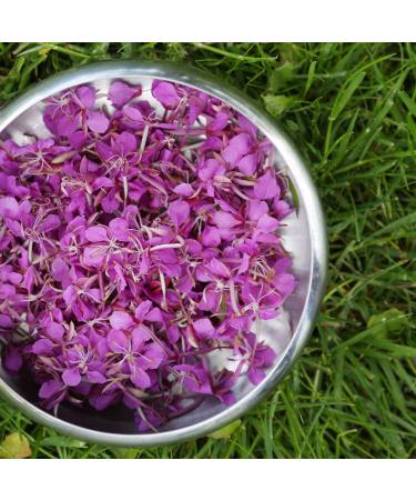 Ivan Chai Classic - Wild Hand-Picked Willowherb Tea | Fermented 100g Bag | Exclusive International Shipping - Buy Online on GoSupps.com