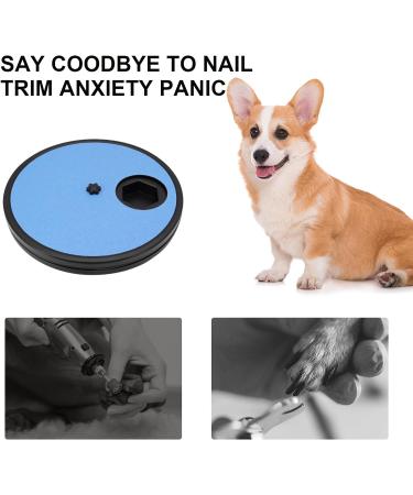 Beowanzk Multifunctional Dog Nail Scratchboard with 6-Compartment Food Storage - Blue - Buy Online on GoSupps.com
