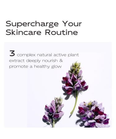 JING MENG 2 PCS LAVANDULA CHAMOMILE SERUM 10% AZELAIC ACID SERUM REDUCE THE LOOK OF ACNE SOOTHE SKIN CREATE A MORE EVEN-LOOKING SKIN TONE LIGHT-WEIGHT - Buy Online on GoSupps.com