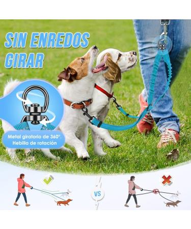Slowton Adjustable Double Dog Leash - 360 Rotatable Reflective Design for Small Dogs (3-9 kg) - Aquamarine - Buy Online on GoSupps.com