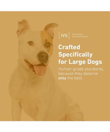 Lipiderm Healthy Skin & Coat for Large Dogs - 60 Soft Gels | International Veterinary Sciences - Buy Online on GoSupps.com