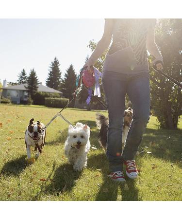 Premium DWE Metal Dog Leash - 2-Way No Tangle Double Line for Large & Medium Dogs (S-3.0mm x 50cm) | International Shipping - Buy Online on GoSupps.com