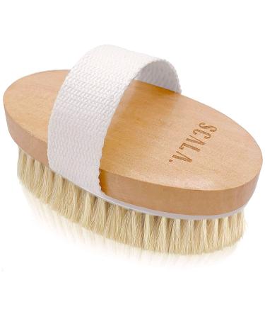 Wet and Dry Body Brush Exfoliator - Soft Bristle Brush Naturally Exfoliates Dead Skin, Smooths Cellulite, Slows Aging, Stimulates Lymph and Blood Flow by Scala Beauty, 5 x 2.75 in Dry Brush
