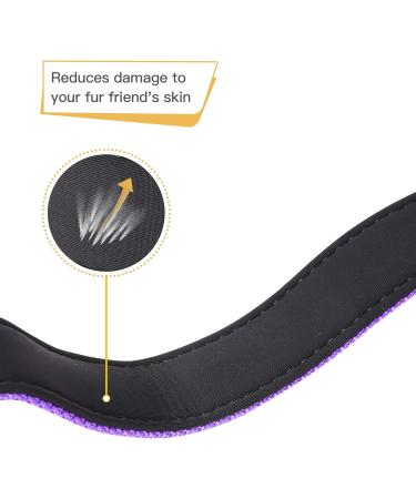 Heele Reflective Dog Collar for Small Dogs Nylon & Neoprene Purple XS (20-30 cm) Comfort & Safety for Puppies - Buy Online on GoSupps.com